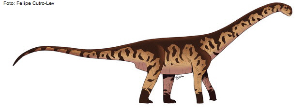 Rekonstruktion von Bicharracosaurus dionidei. Foto: Felipe Cutro-Lev