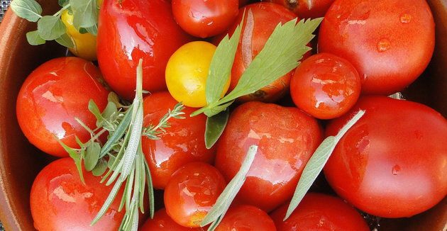 PetraMichel_tomato-harvest-660628_1280