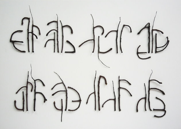 Feine Ver�stelungen einer Kastanie werden bei Werner Henkel zu eigenen Schriftzeichen und einem artenspezifischen Schriftbild. Foto: Werner Henkel